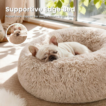 Indulge Your Pet with the Ultimate Calming Donut Bed - Fluffy, Warm, and Cozy Cat & Dog Bed for Small to Medium Pets in Beige Taupe