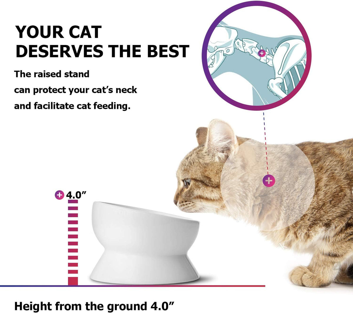 Elevated Tilted Ceramic Cat Bowl - No Spill Design for Comfortable Eating and Drinking, 15oz Capacity, Dishwasher Safe