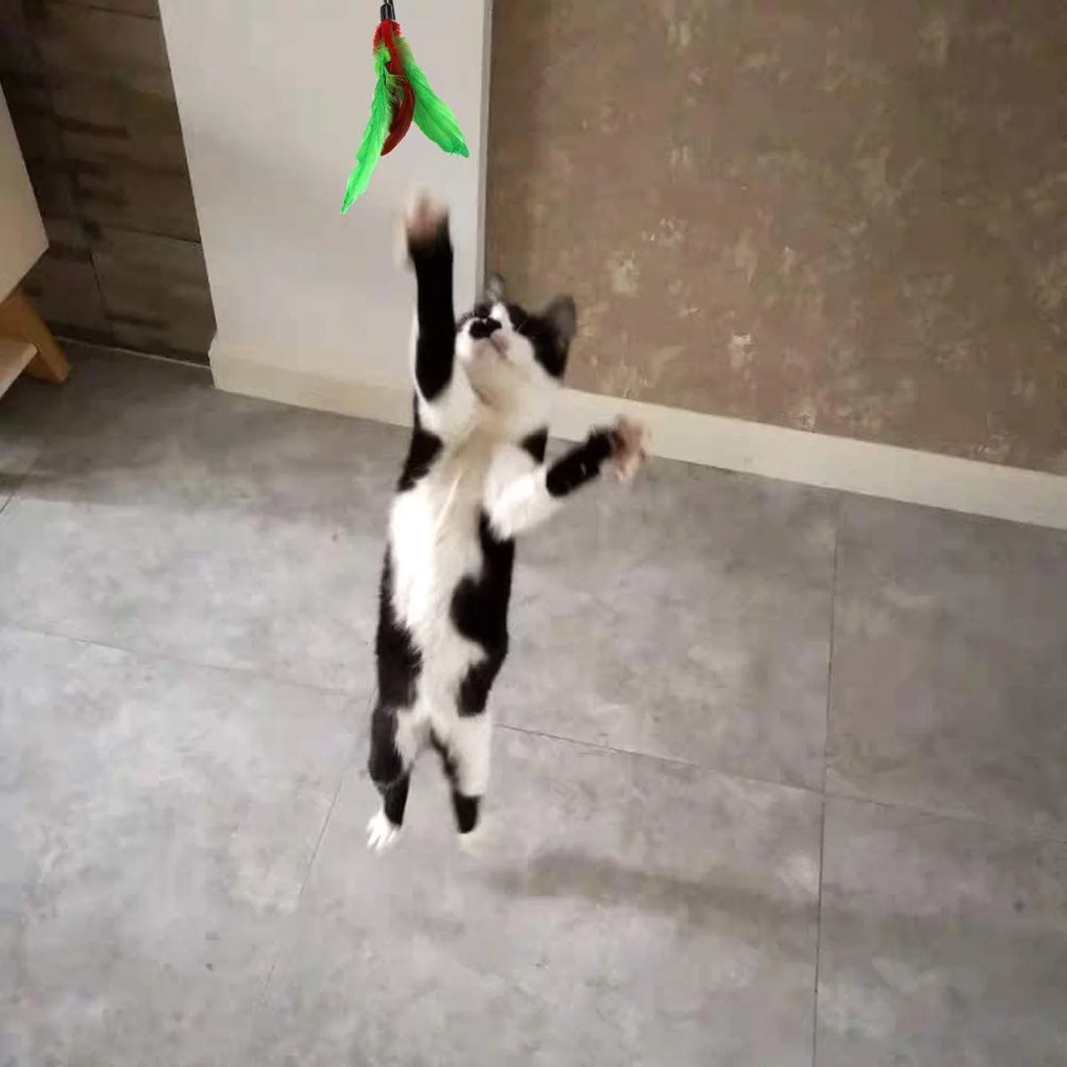 Exciting 11 PCS Cat Feather Toy Set - Interactive Teaser Refills with Bells for Endless Fun and Exercise!
