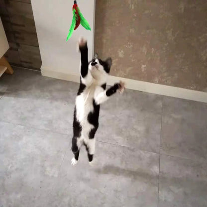 Exciting 11 PCS Cat Feather Toy Set - Interactive Teaser Refills with Bells for Endless Fun and Exercise!