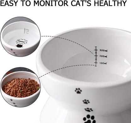 Elevated Tilted Ceramic Cat Bowl - No Spill Design for Comfortable Eating and Drinking, 15oz Capacity, Dishwasher Safe