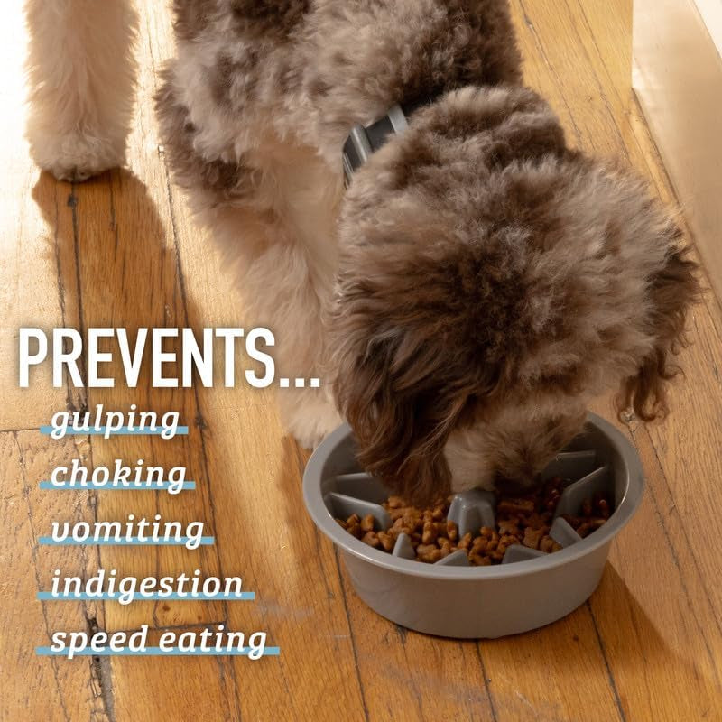 Engaging Slow Feeder Dog Bowl - Puzzle Design for Healthy Eating - Perfect for Medium to Large Breeds - Blue
